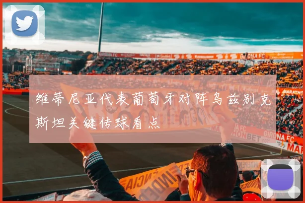 维蒂尼亚代表葡萄牙对阵乌兹别克斯坦关键传球看点