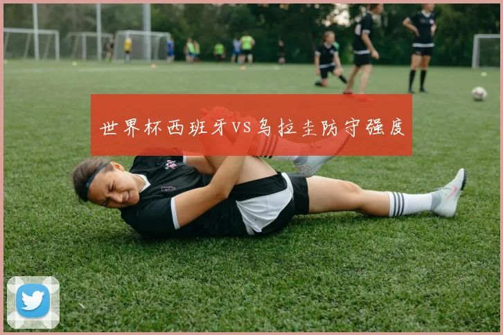 世界杯西班牙vs乌拉圭防守强度